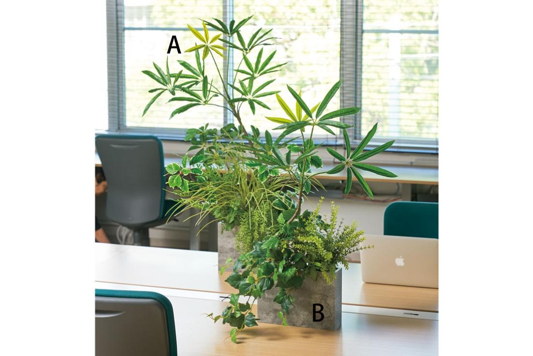 卓上コンテナ植栽