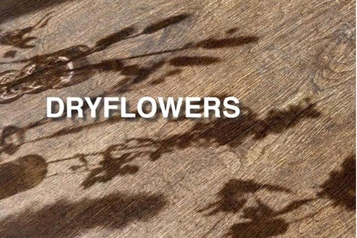 DRYFLOWERS New Item