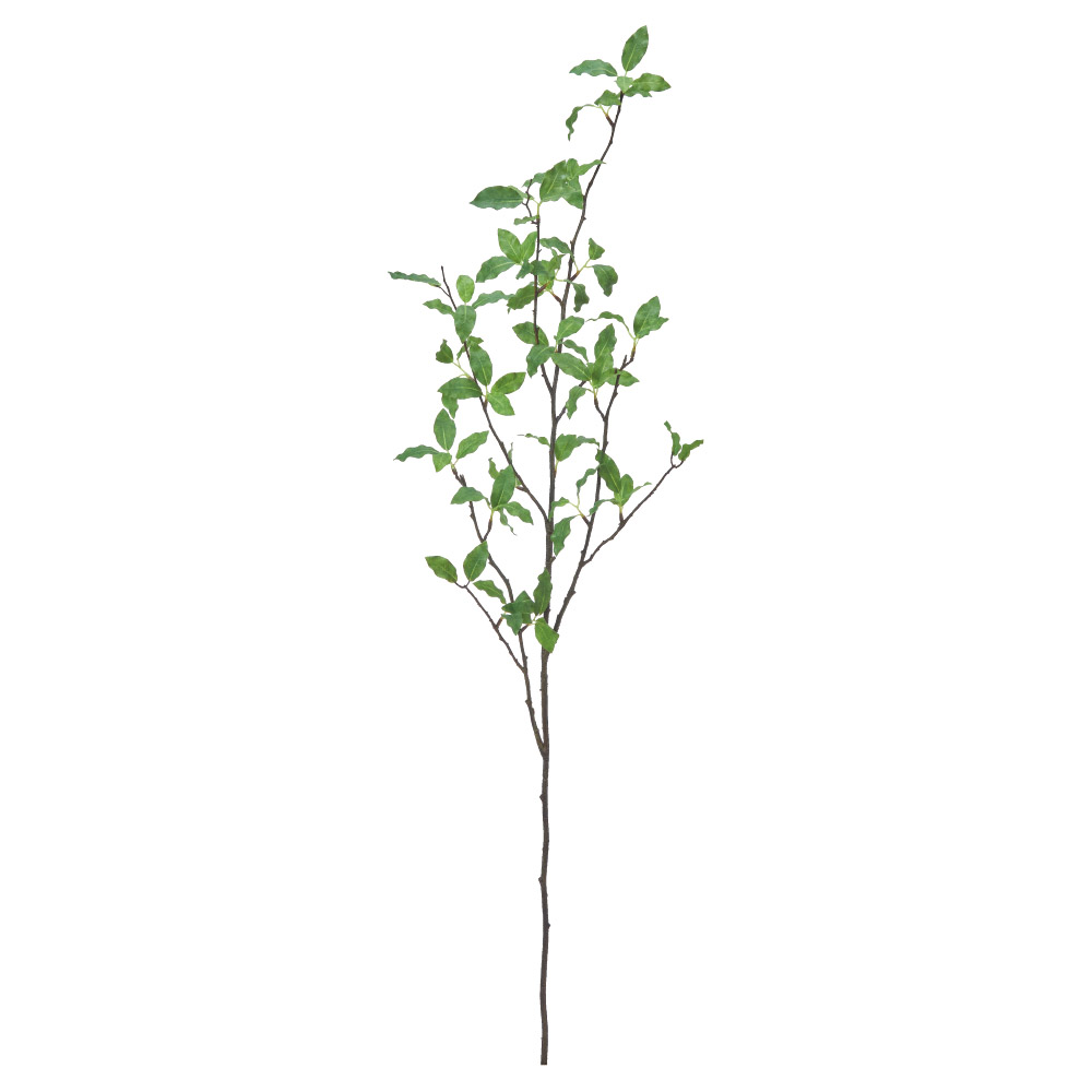 ピットスポラム