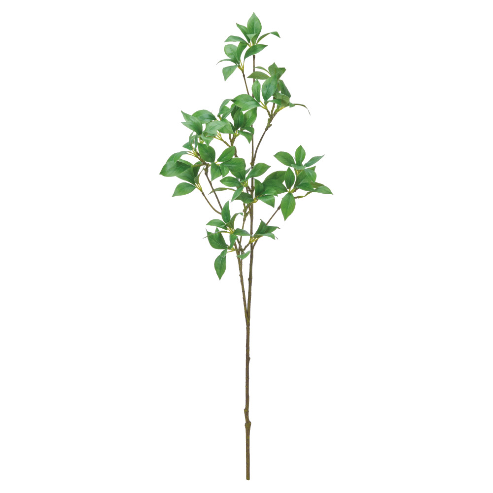 リーフスプレー