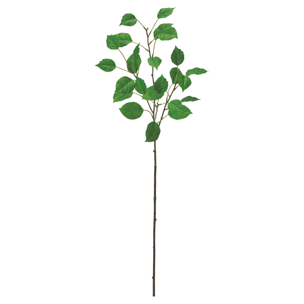 リーフスプレー