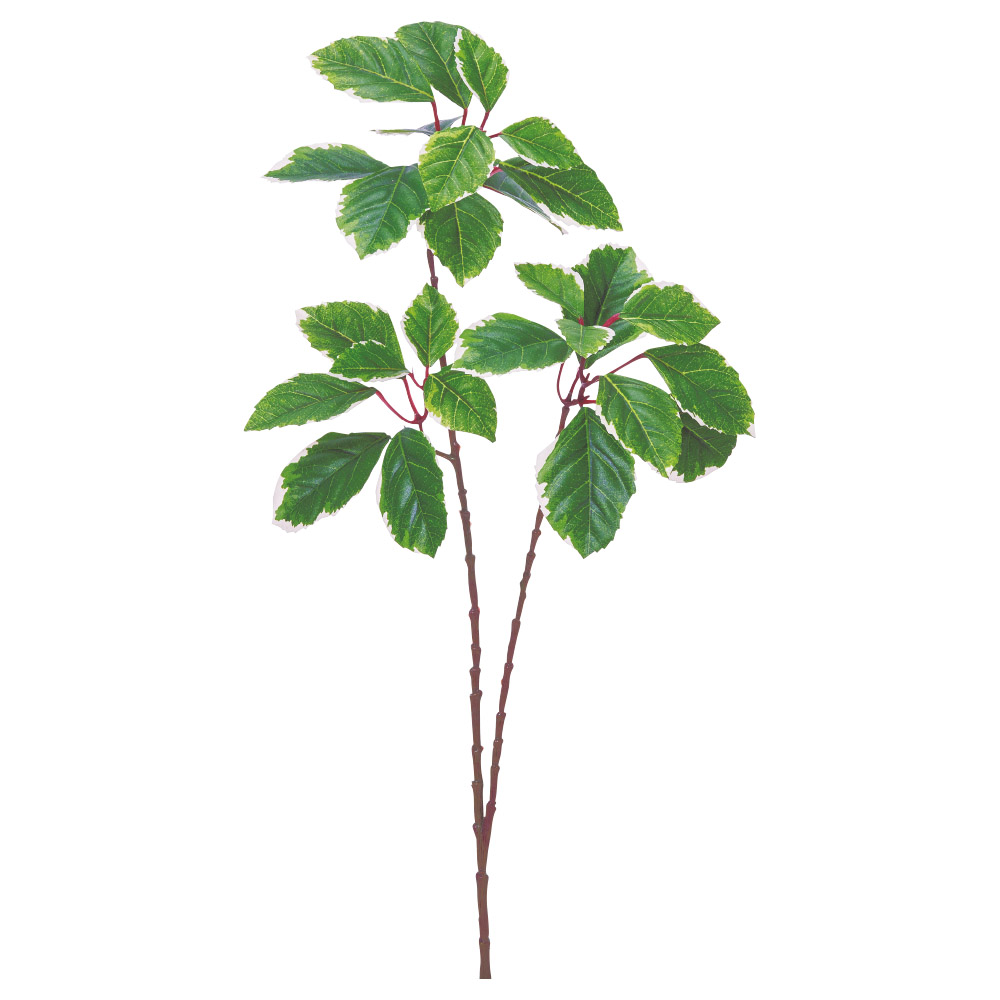 リーフスプレー