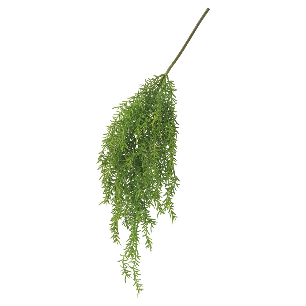 ローズマリーハンギングスプレー