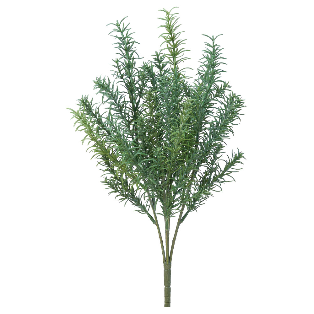 ローズマリーブッシュ