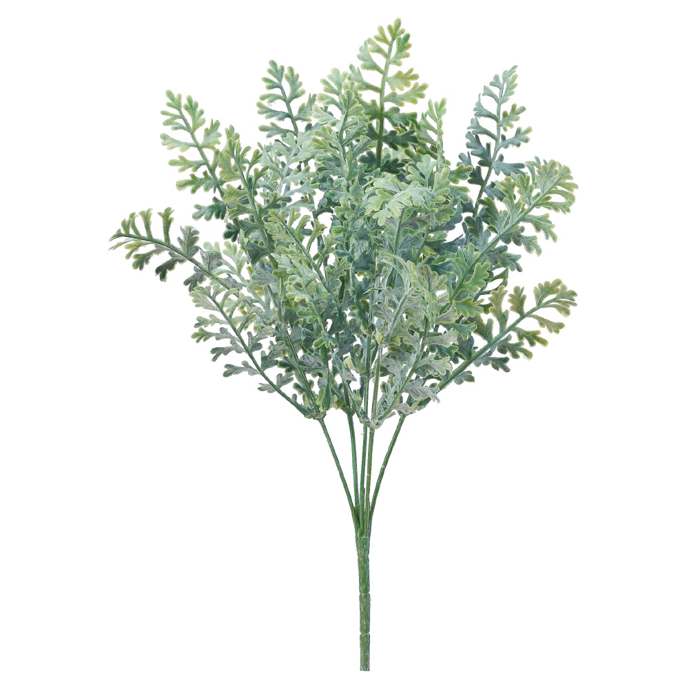 ダスティミラーブッシュ