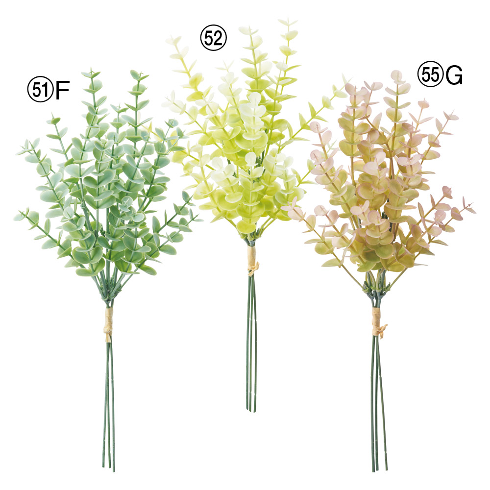 ユーカリバンチ（1束3本）