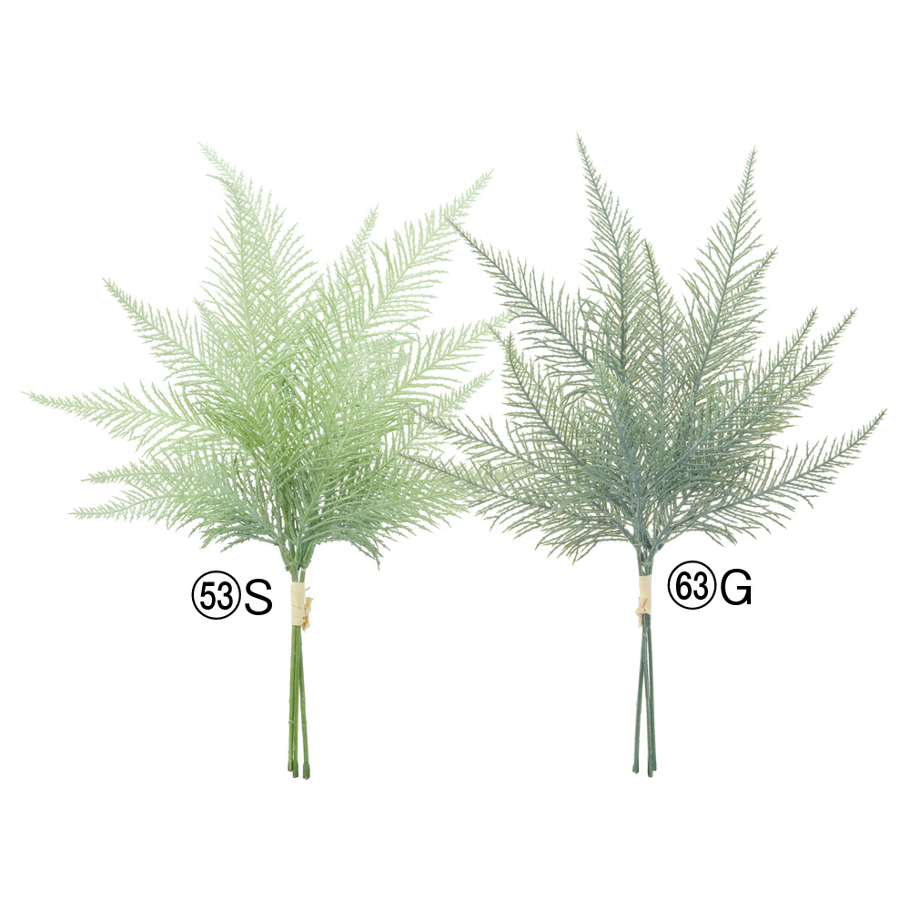 サイプレスバンチ（1束3本）