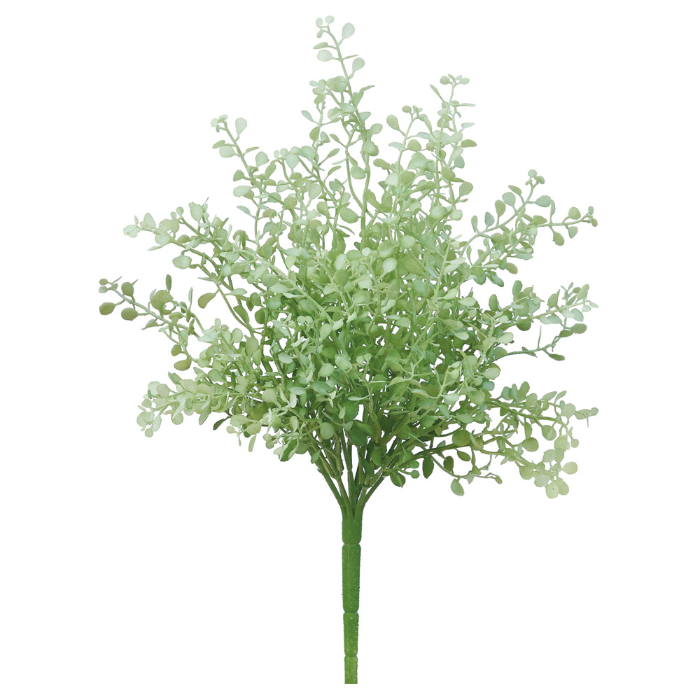 ボタンリーフブッシュ