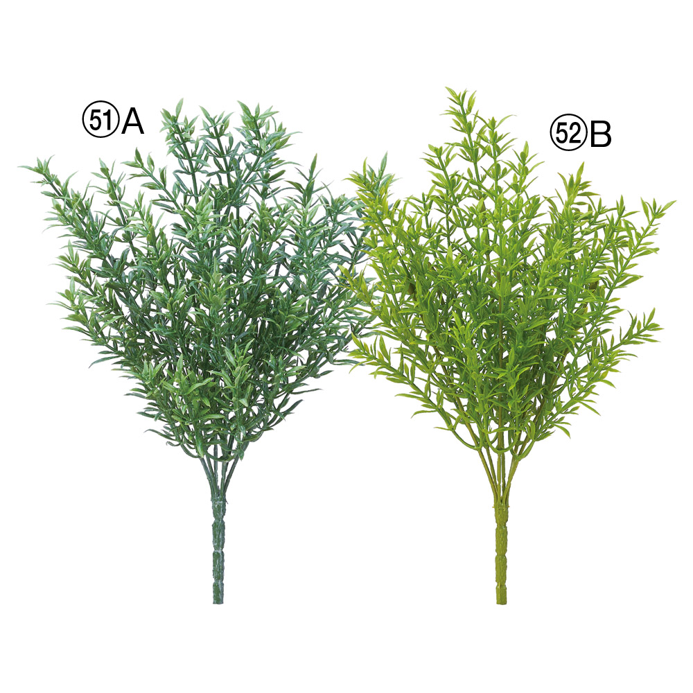 ティーツリーブッシュ