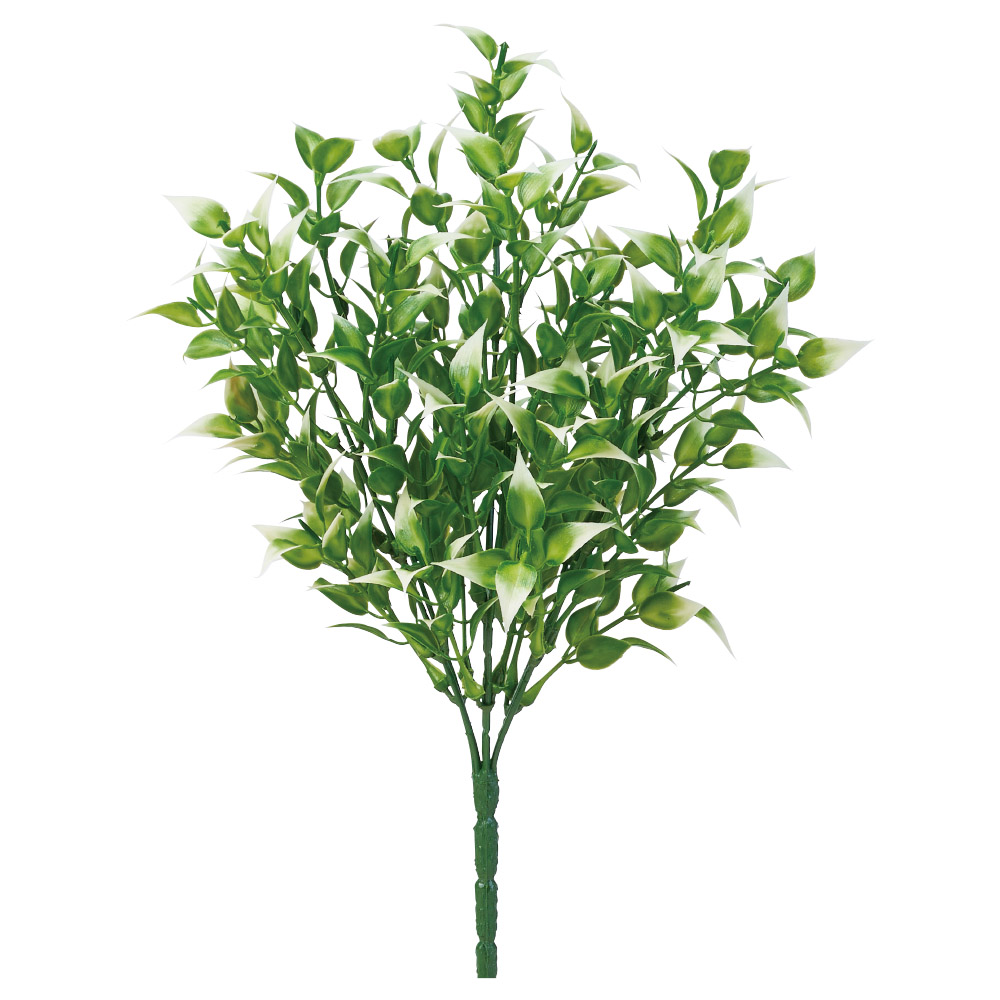 リーフブッシュ