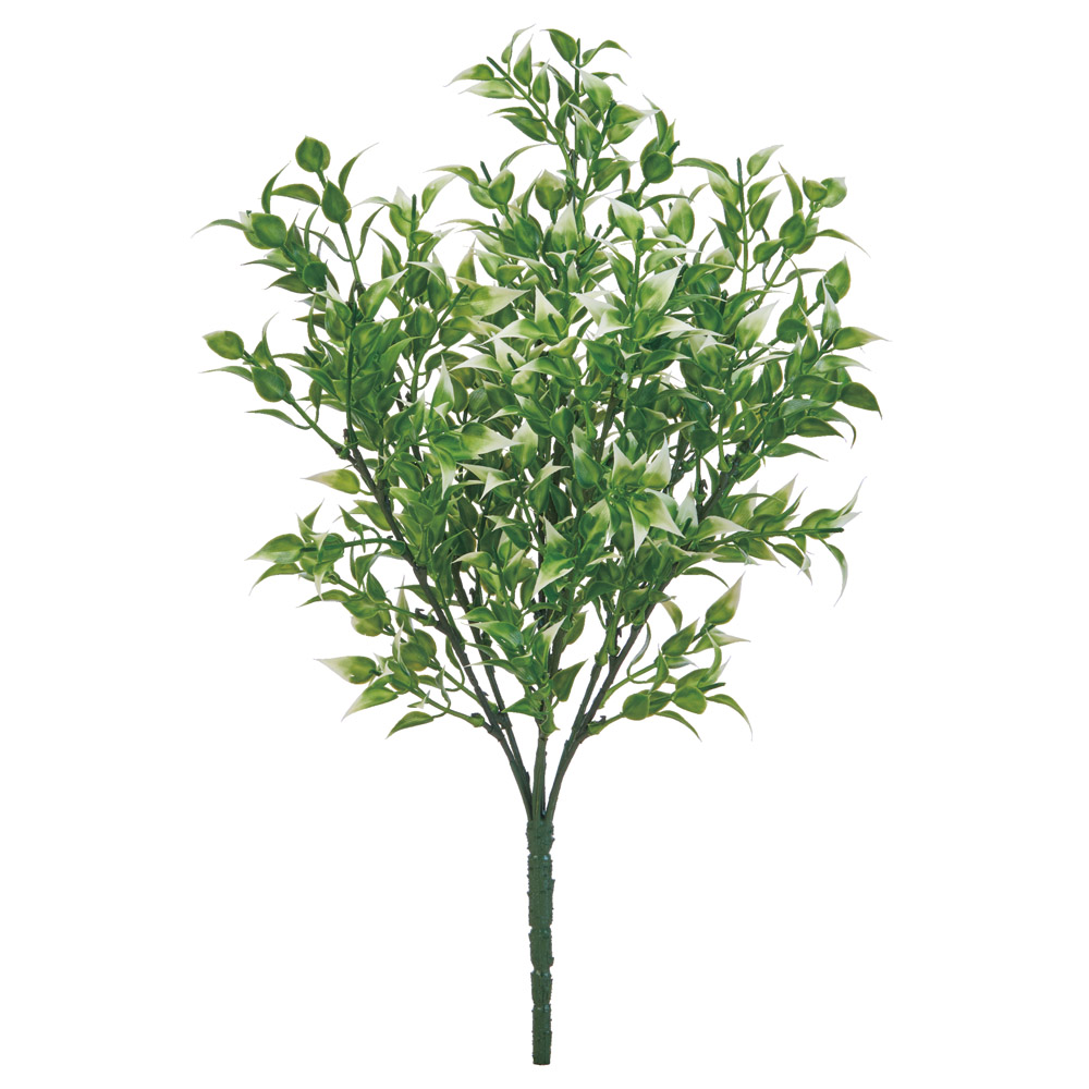 リーフブッシュ