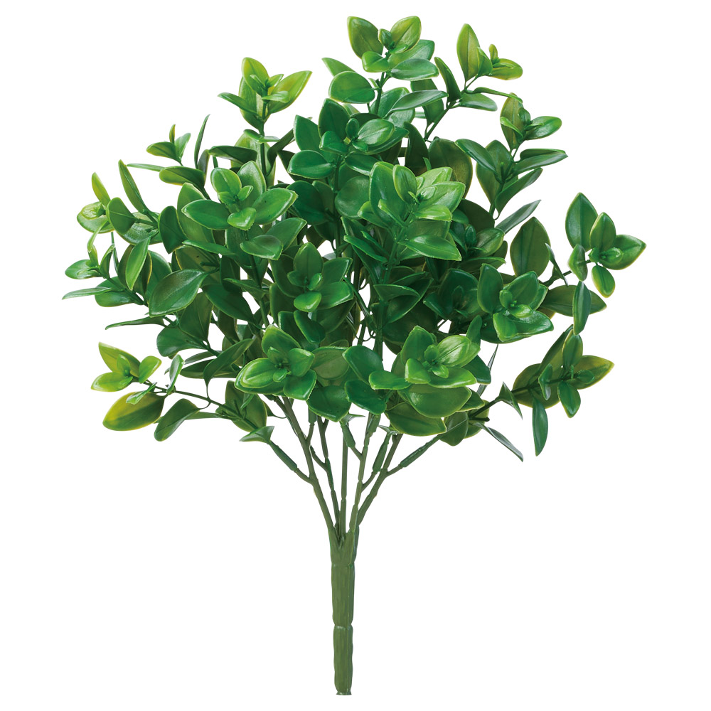 リーフブッシュ