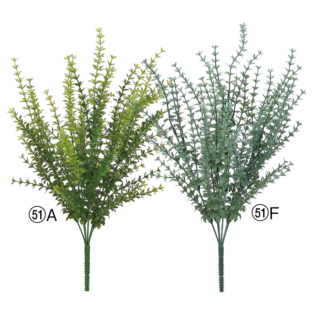 リーフブッシュ