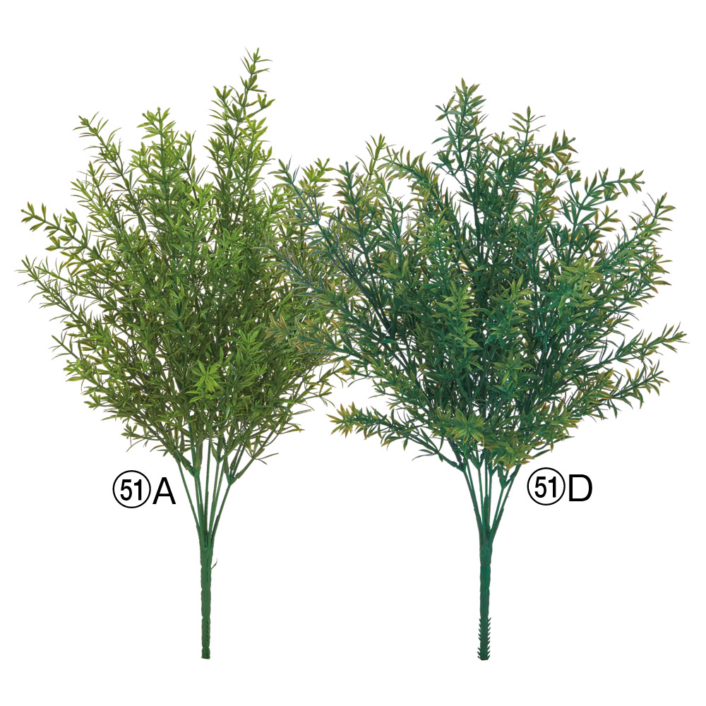 ティーツリーブッシュ