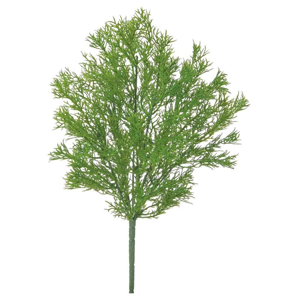 アルテミシアブッシュ