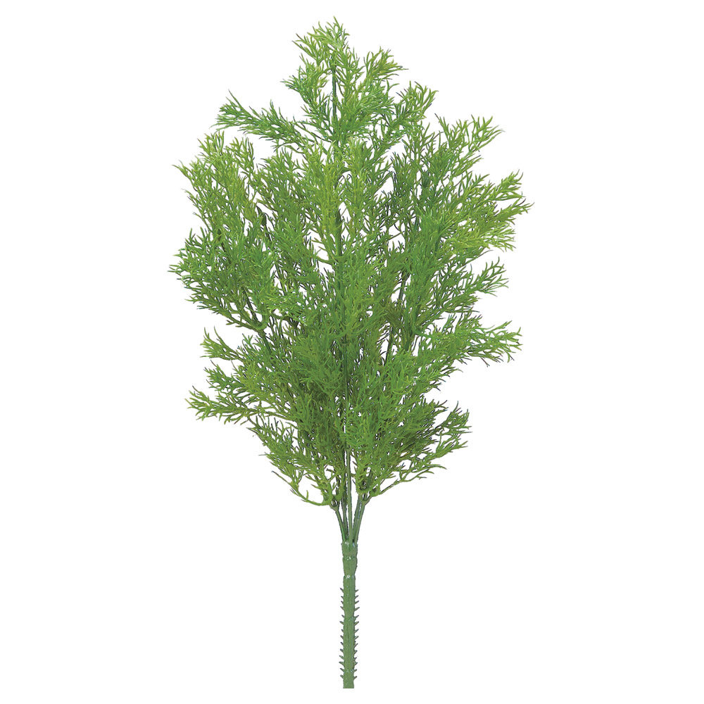 アルテミシアブッシュ