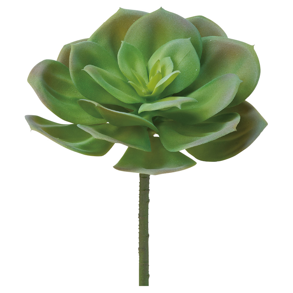 サッカレンテン