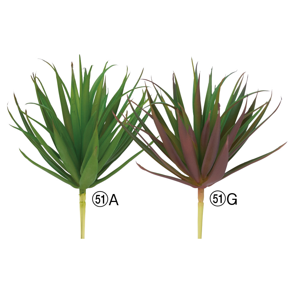 サッカレンテン