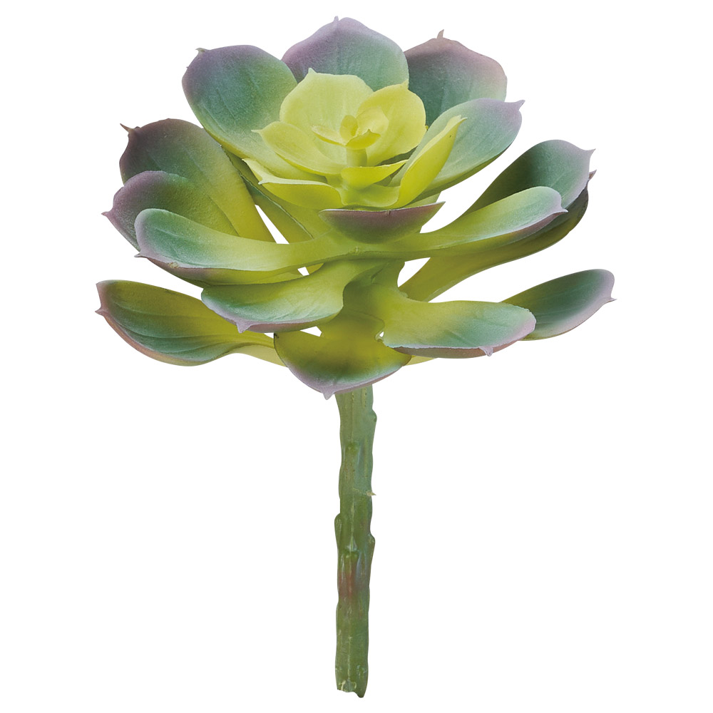 サッカレンテン