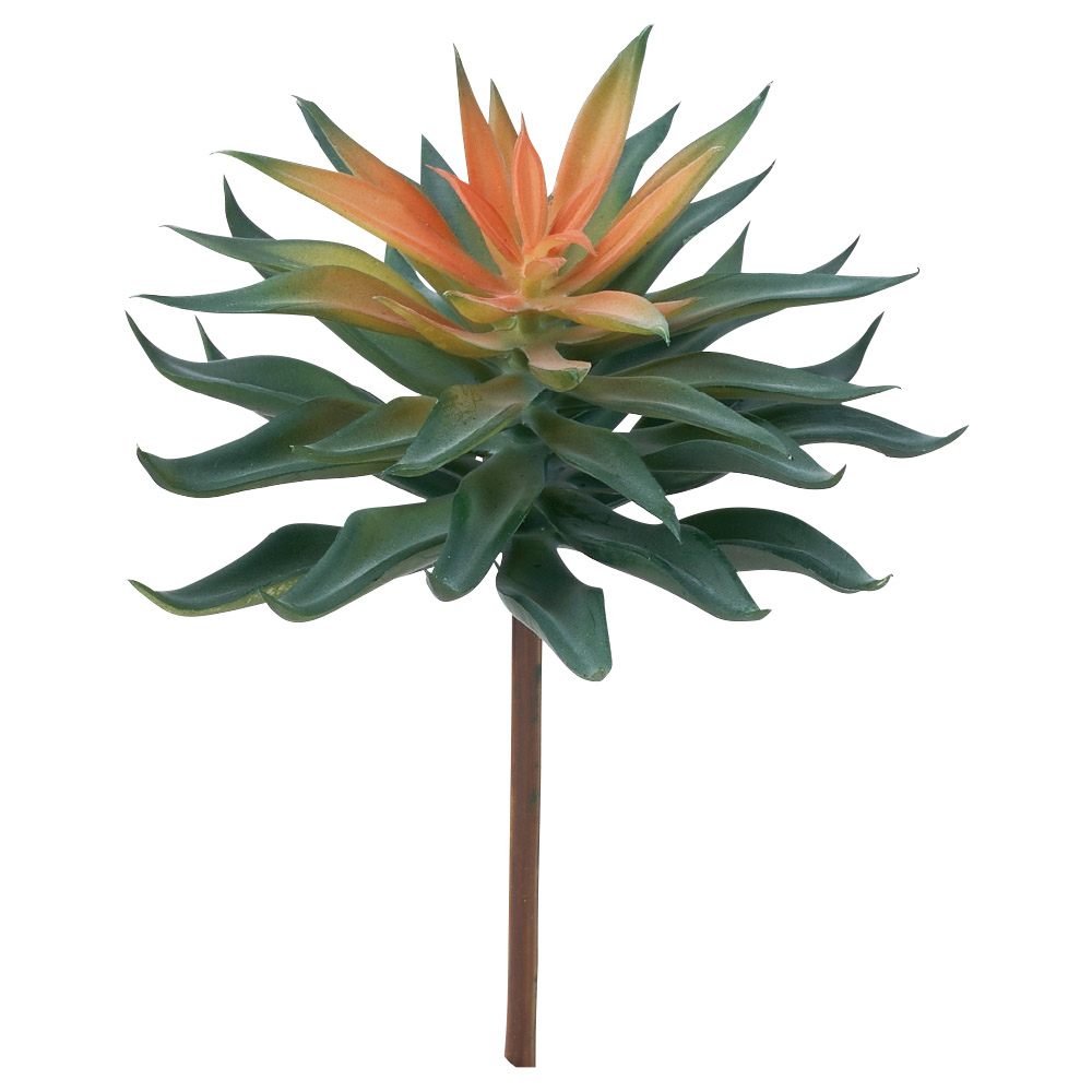 サッカレンテン