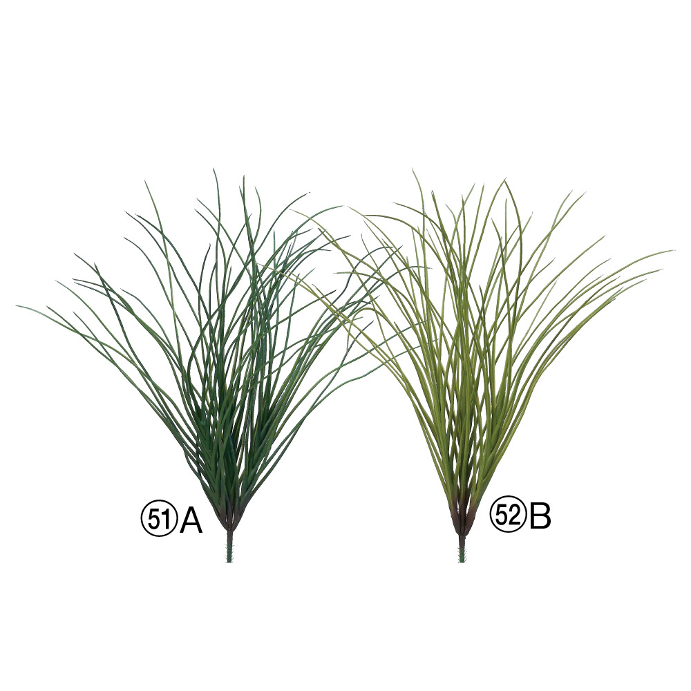 グラスブッシュ