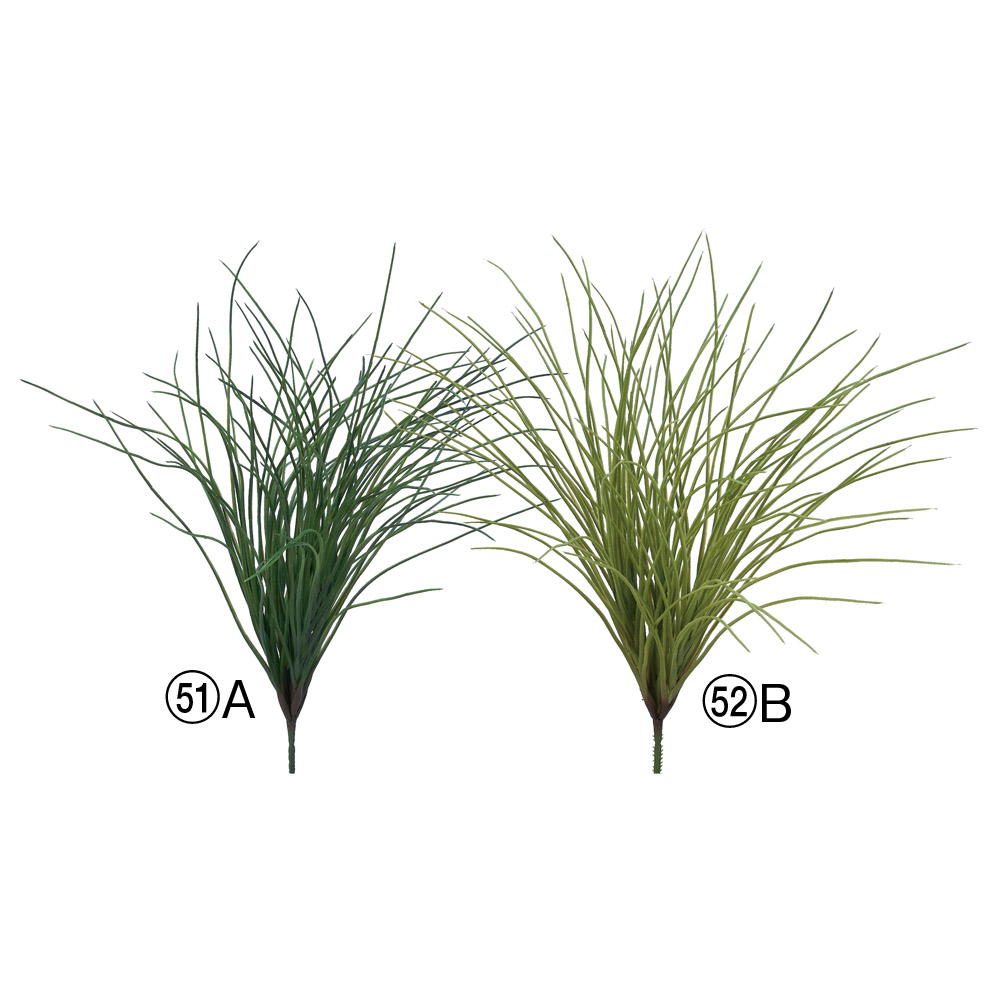 グラスブッシュ