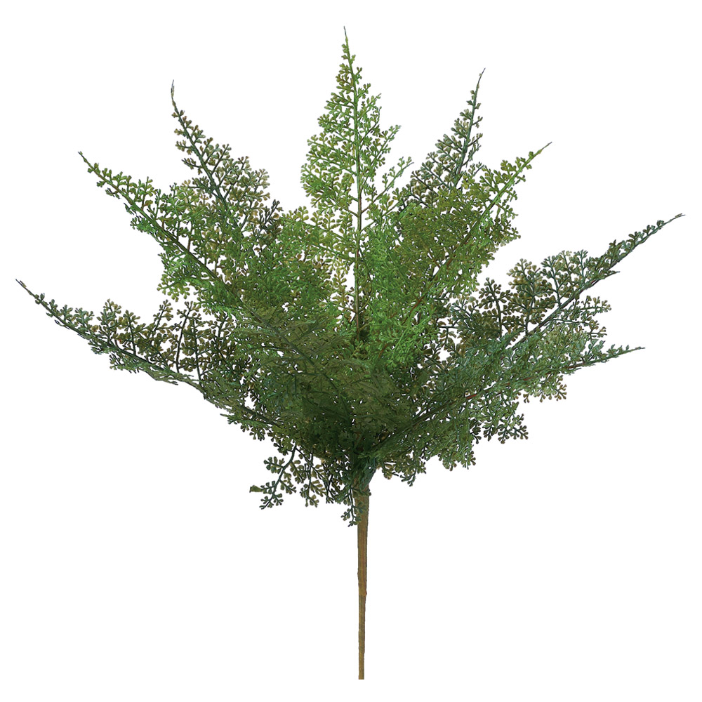 ファーンブッシュ