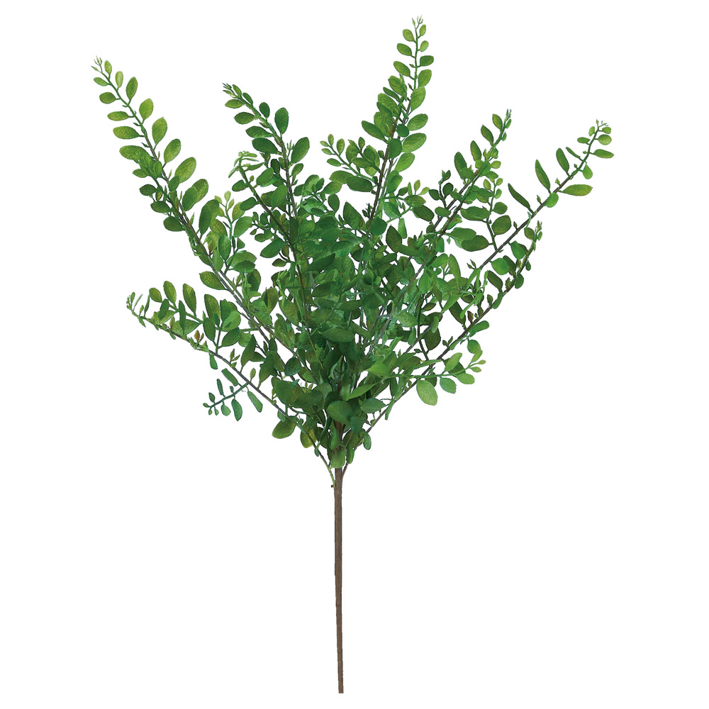 リーフブッシュ