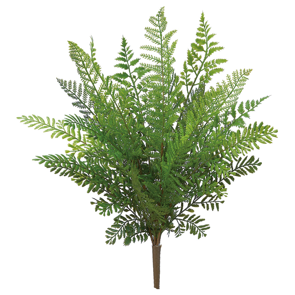 ミックスファーンブッシュ