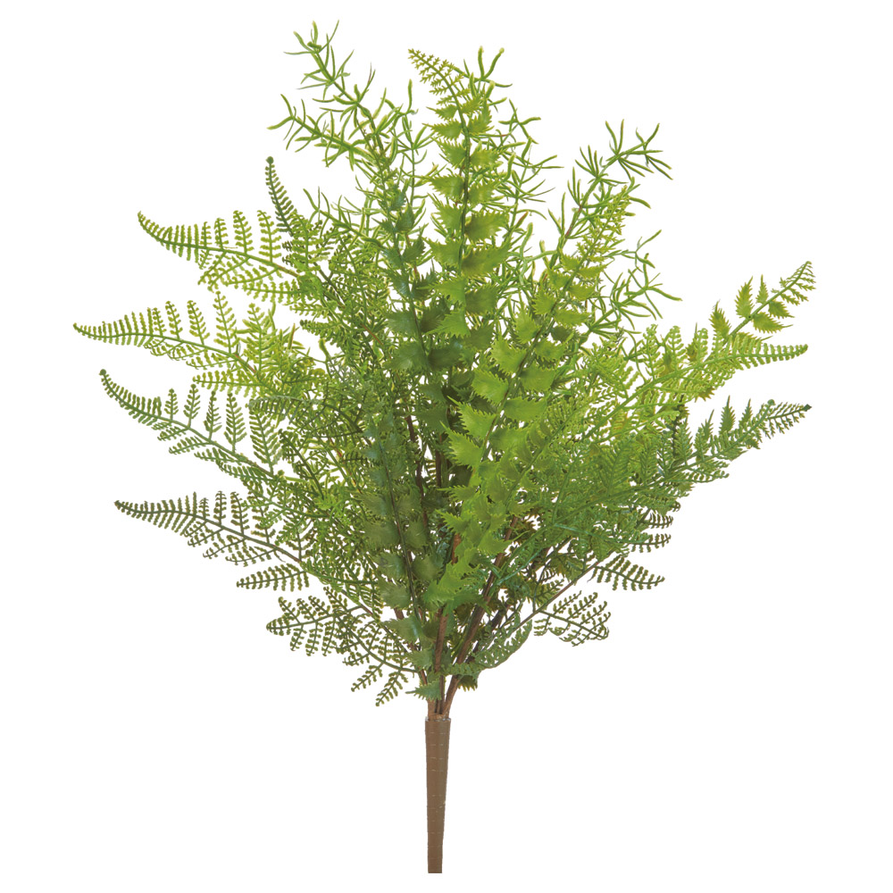 ミックスファーンブッシュ