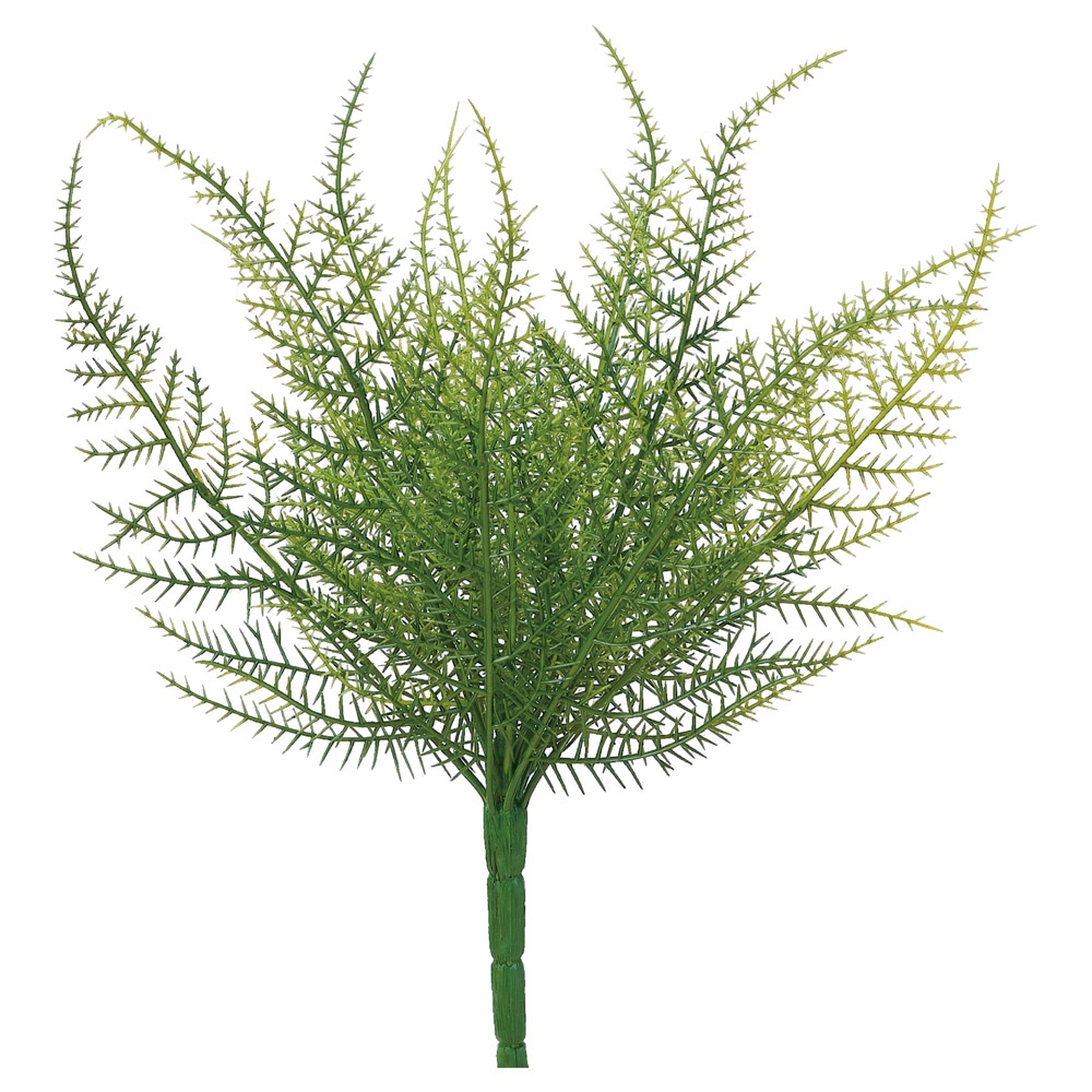 ファーンブッシュ