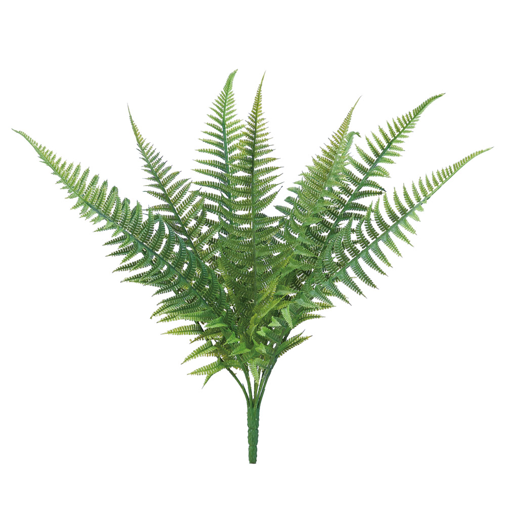 ファーンブッシュ