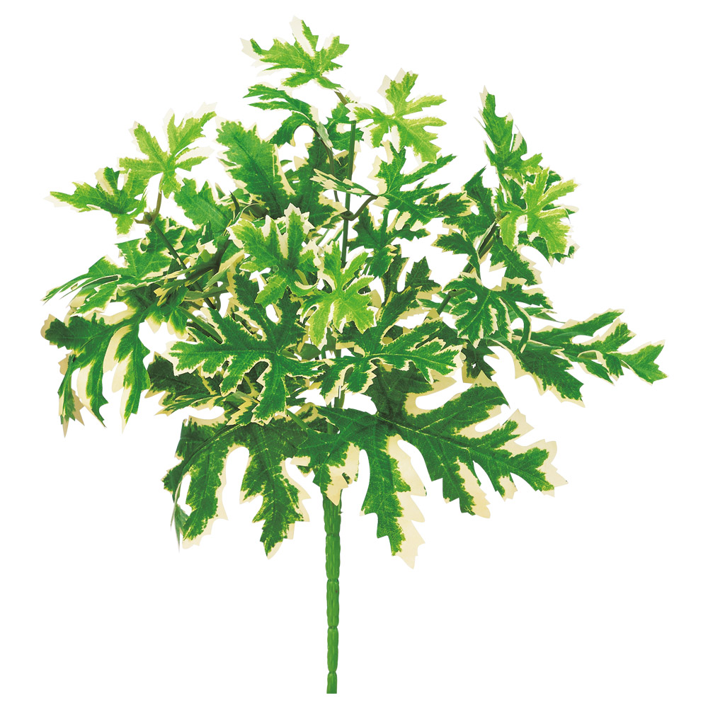 ゼラニウムブッシュ