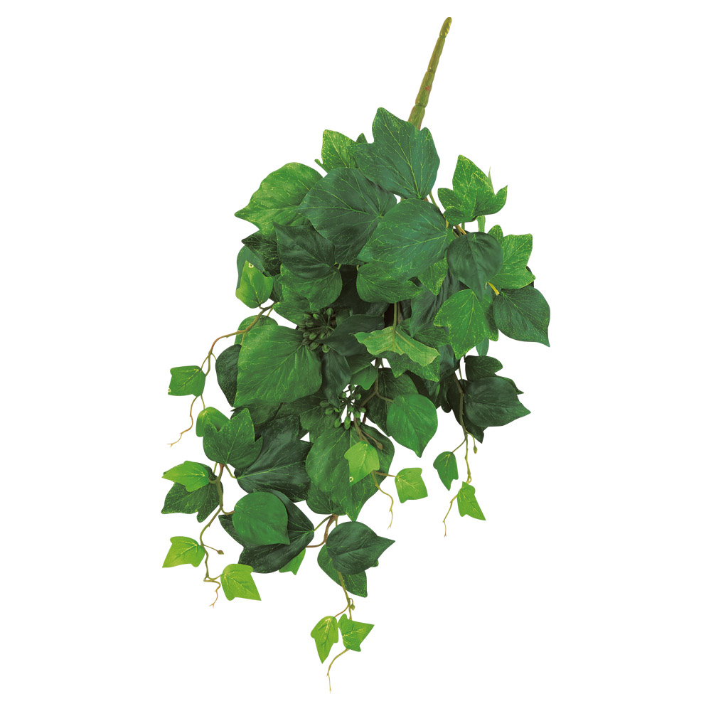 アイビーベリーハンギングブッシュ