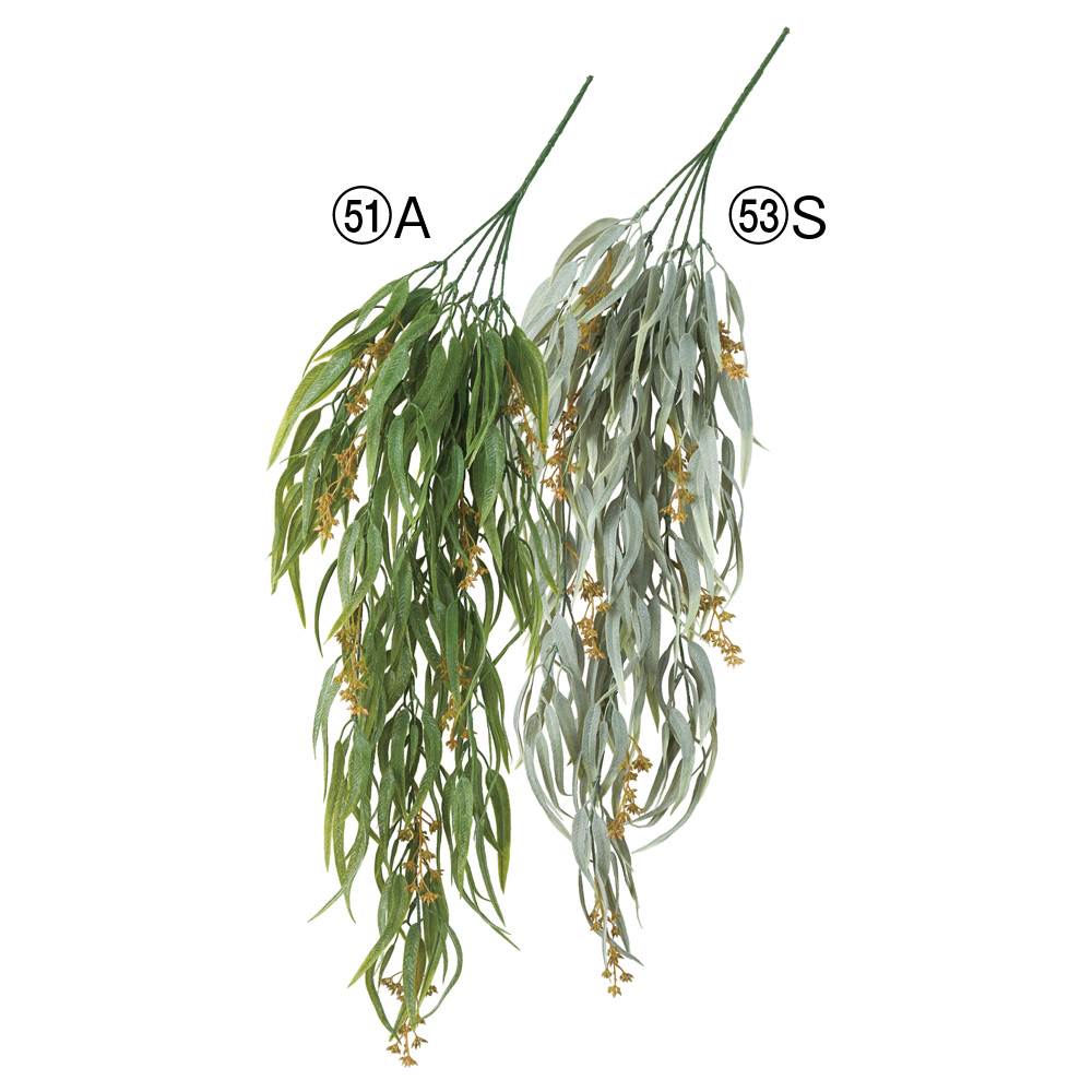 ユーカリベリーハンギングブッシュ