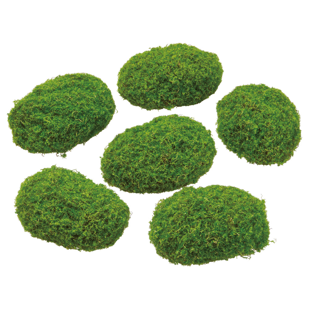 モス（6種アソート）