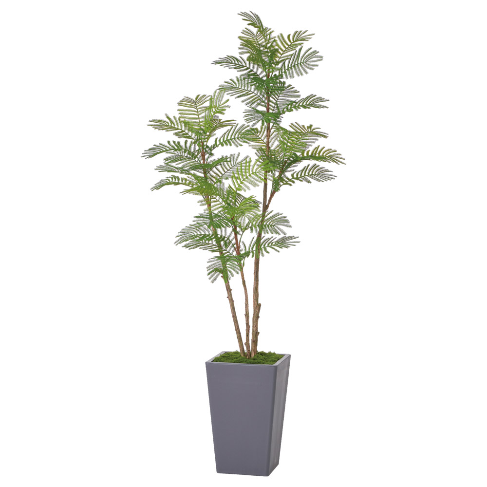 エバーフレッシュ（コンテナキット）