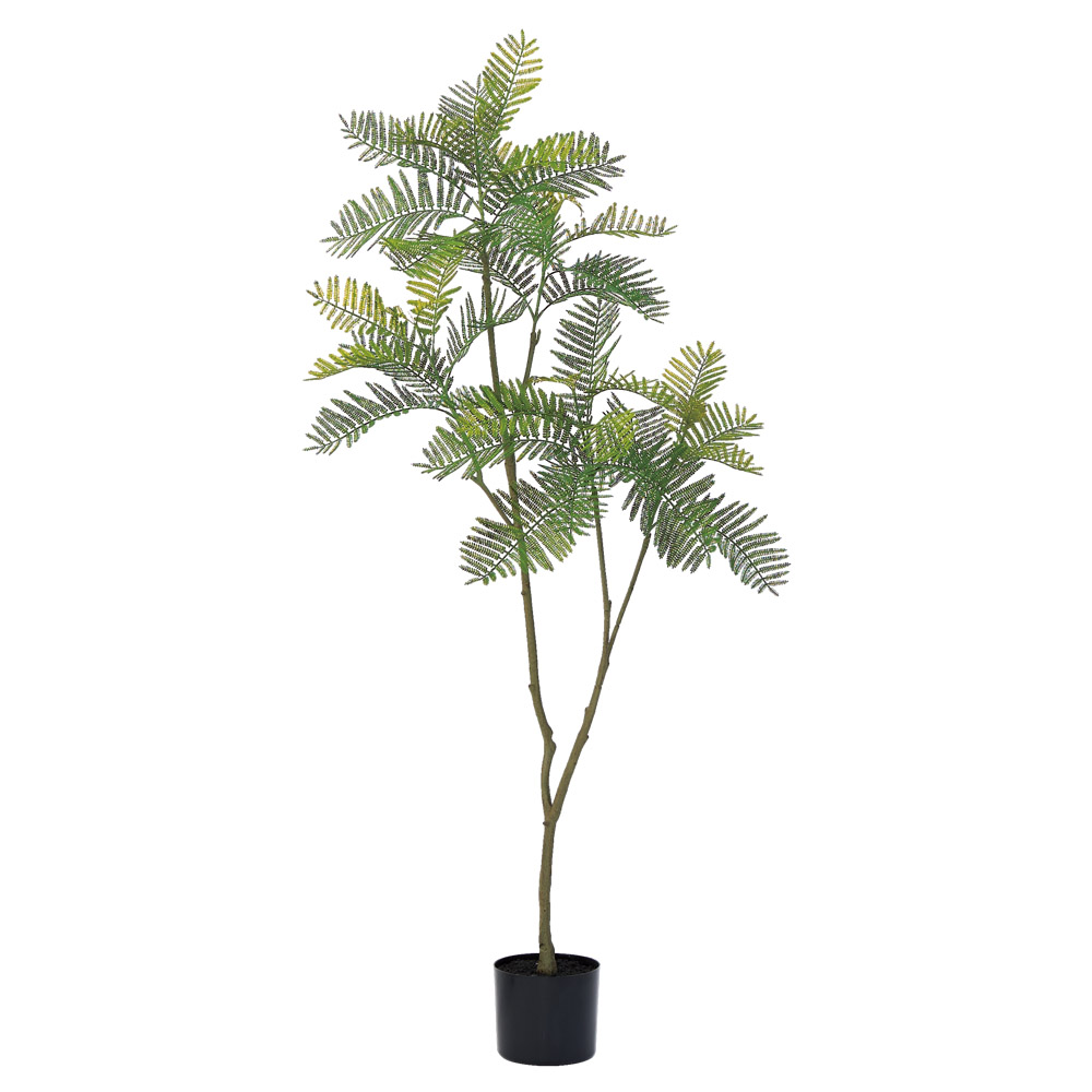 エバーフレッシュ（ポット付）