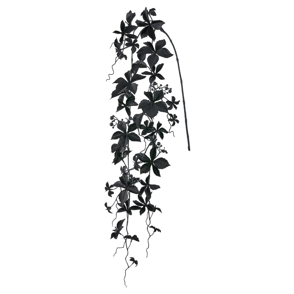 シサスベリーハンギングスプレー
