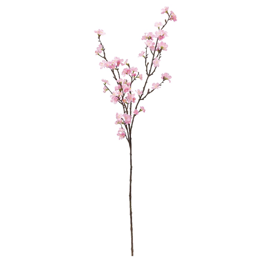 桜×72