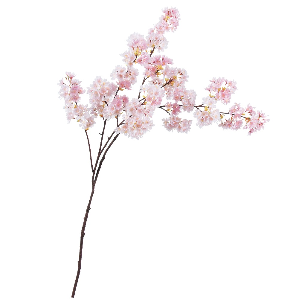 桜×x441つぼみ×x16