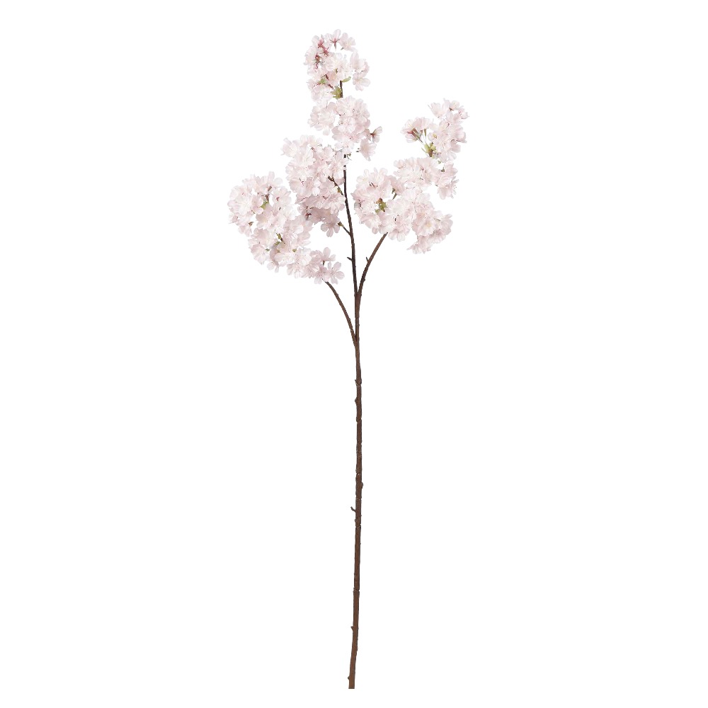 桜×211つぼみ×9