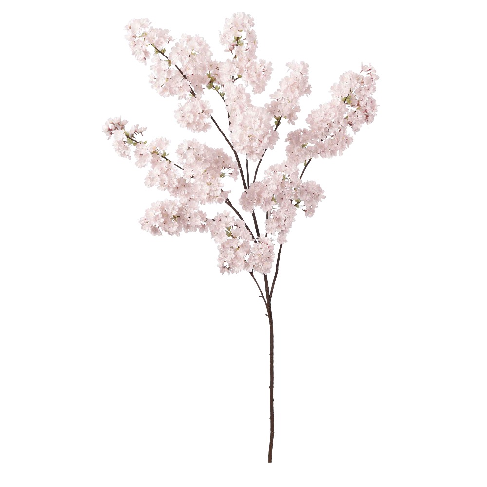 桜×890つぼみ×15