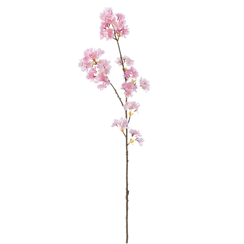 桜×90