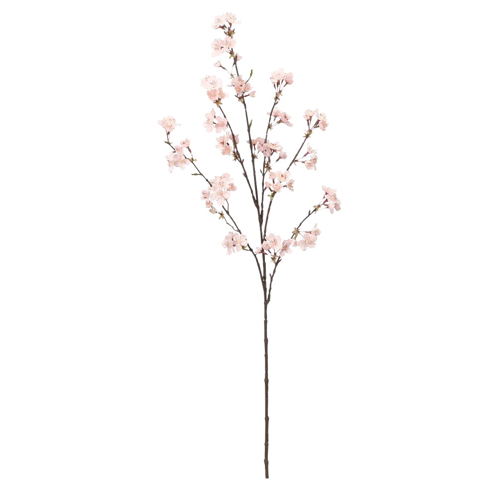 桜×76つぼみ×13