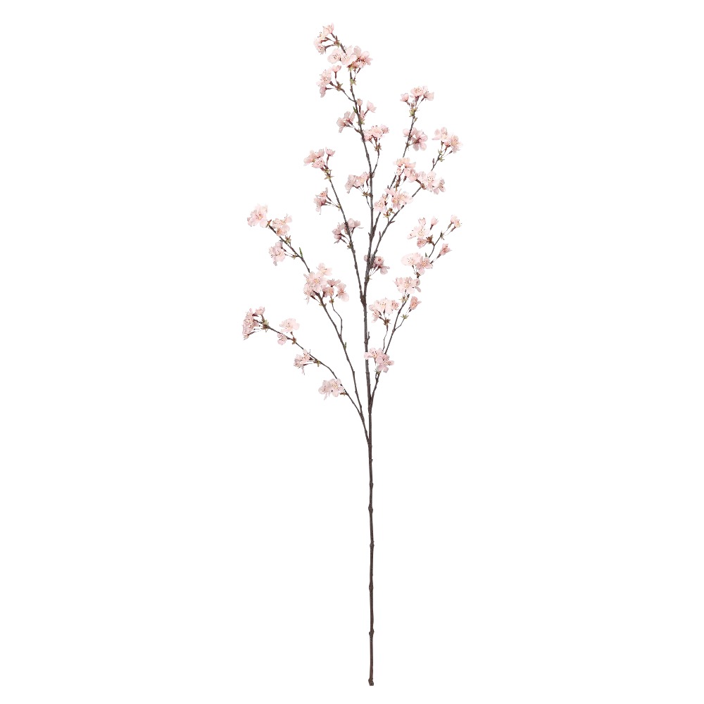 桜×115つぼみ×19