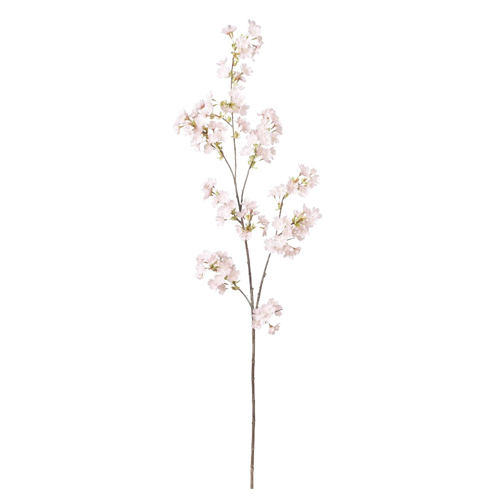 桜×130つぼみ×16