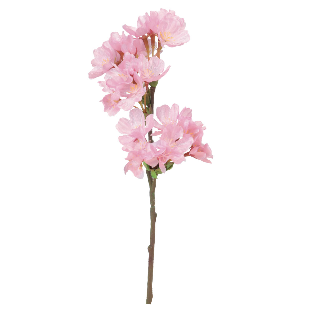 桜×15つぼみ×10