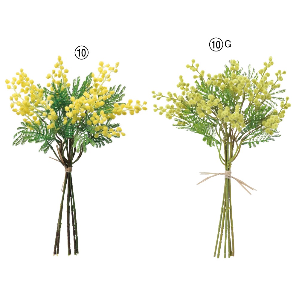ミモザバンチ（1束6本）