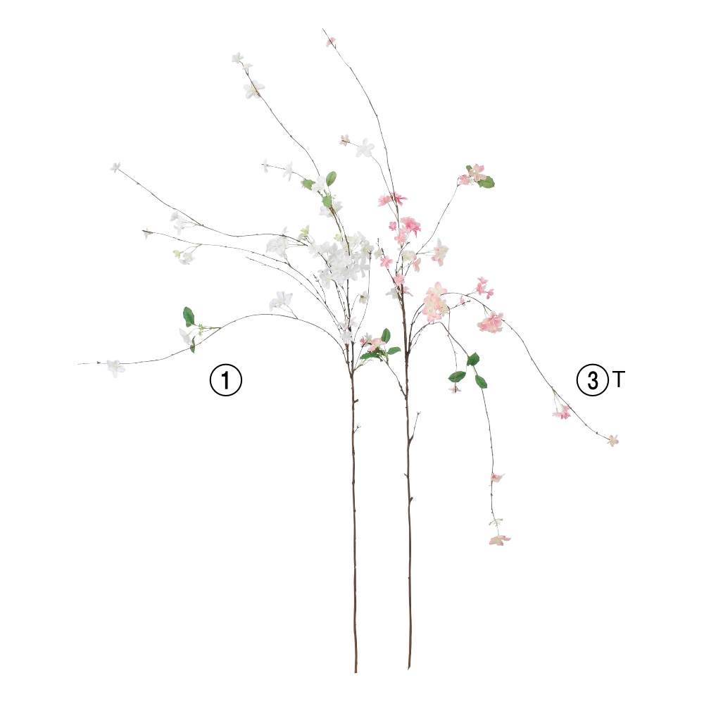 しだれ桜×85つぼみ×6|商品案内|株式会社アスカ商会 しだれ桜×85つぼみ×6|商品案内|株式会社アスカ商会